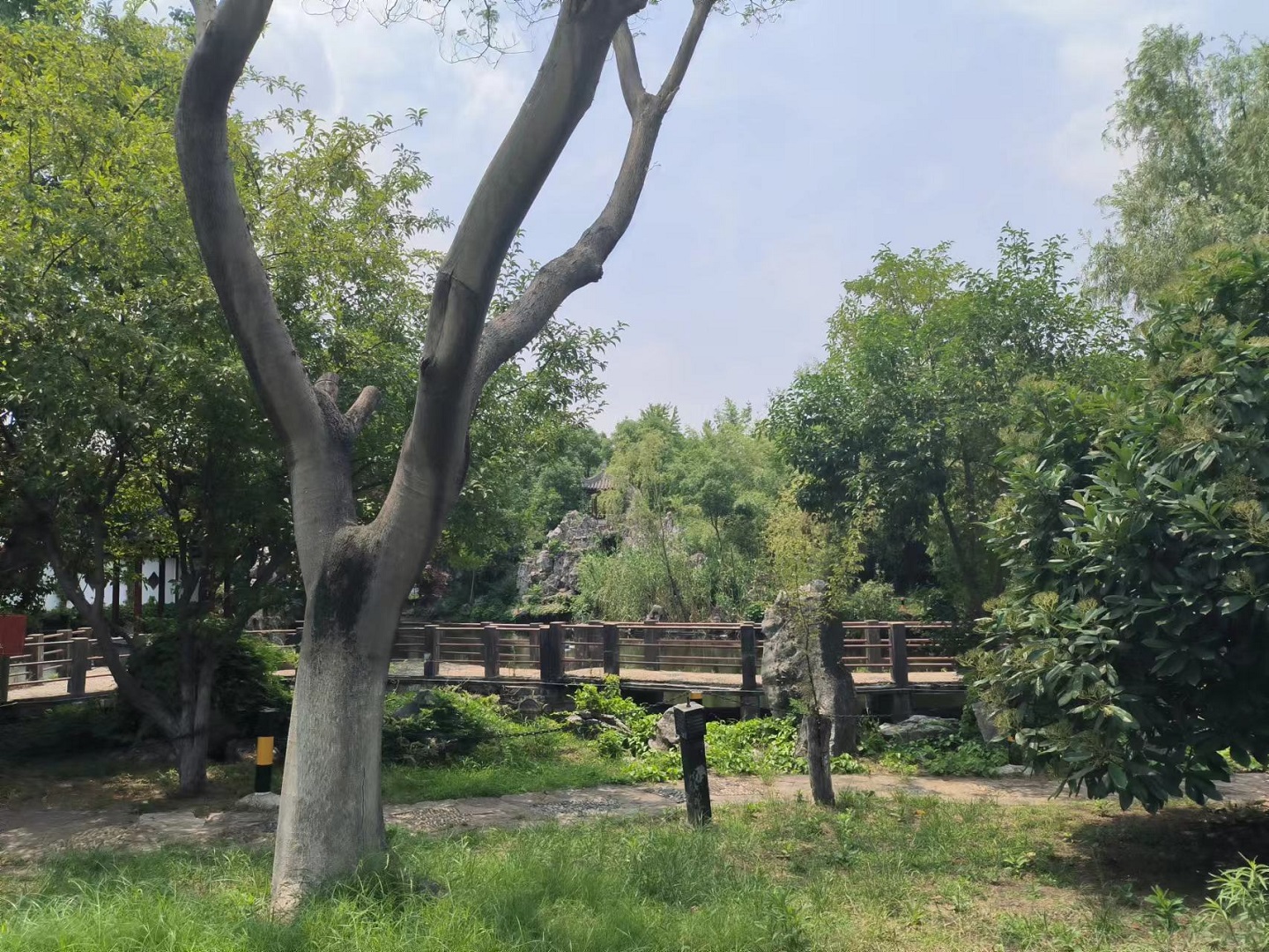 某園林資產(chǎn)價(jià)值評(píng)估.jpg